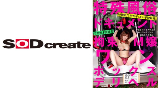 107SDHS-038 Kiềm chế Masochist Một hộp Giao hàng Sức khỏe Rika Tsubaki