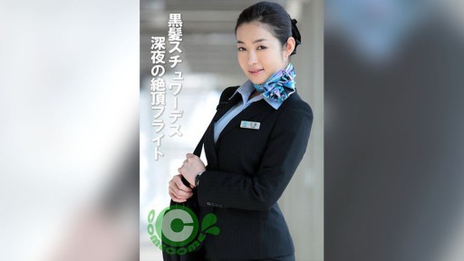 PYU-377 Chuyến bay đêm khuya cao điểm của nữ tiếp viên tóc đen