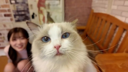 FC2PPV-4511406 Quá dễ thương và siêu hiếm. Trong một buổi hẹn hò ở quán cà phê mèo, con mèo đã nói với tôi: ``Dễ thương quá.