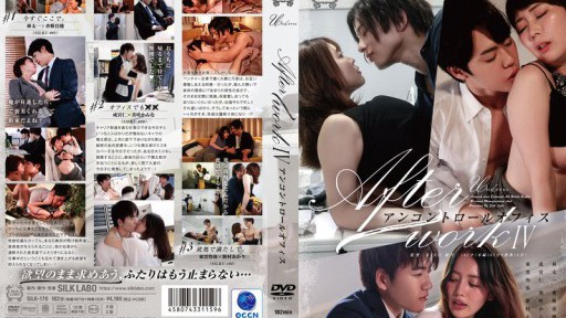 SILK-170 Sau giờ làm việc 4 văn phòng không được kiểm soát